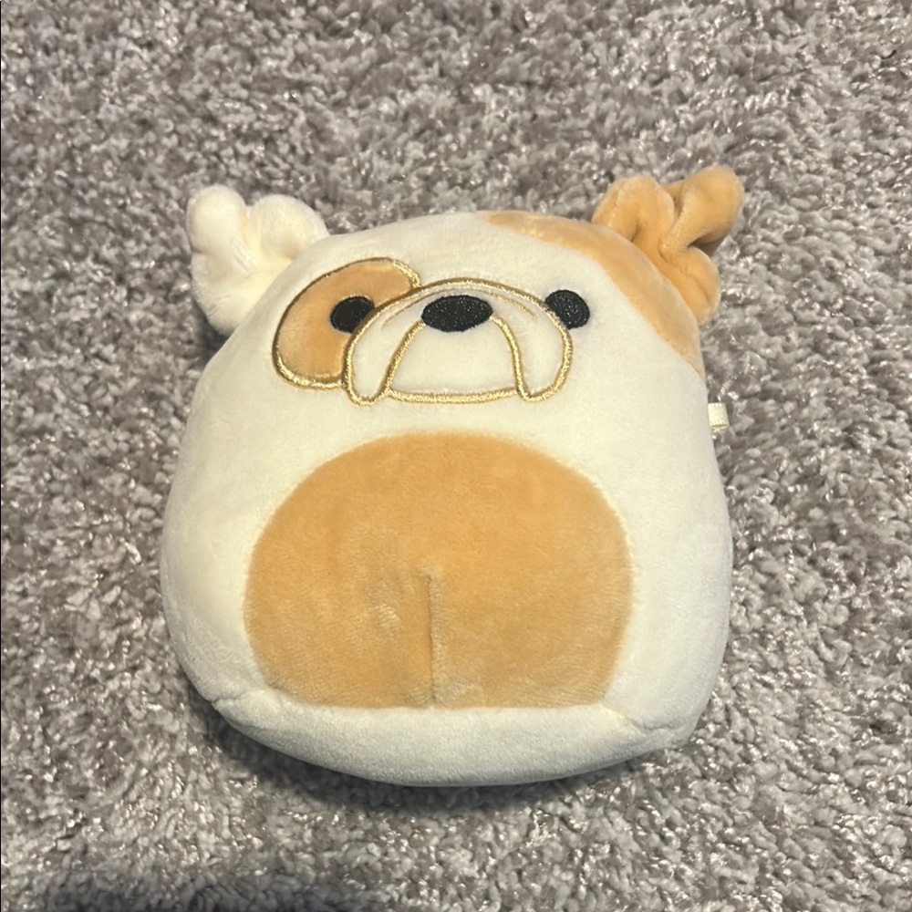 Brock the Bulldog 5” - Squishmallow